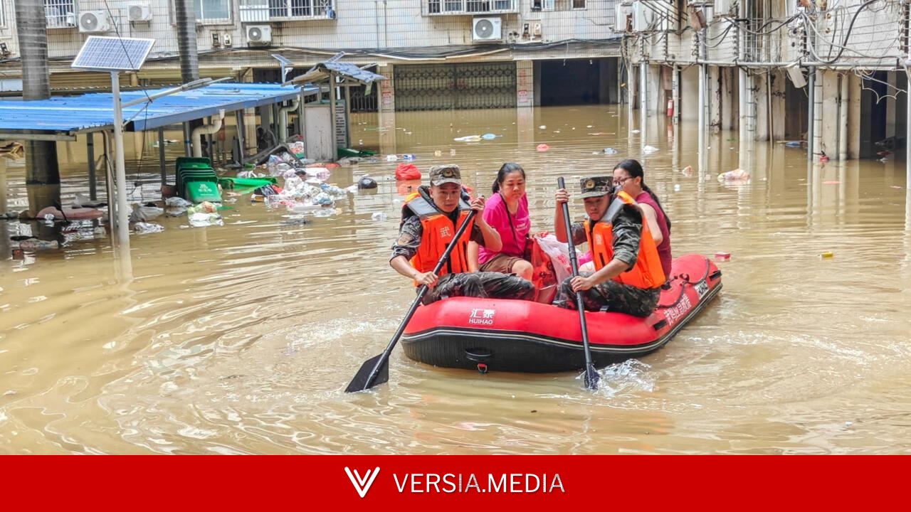 “太恐怖了,到处都是”:中国洪水逼900多条毒蛇逃脱养殖场引发恐慌